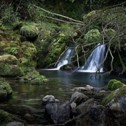 imagenes de Asturias 3