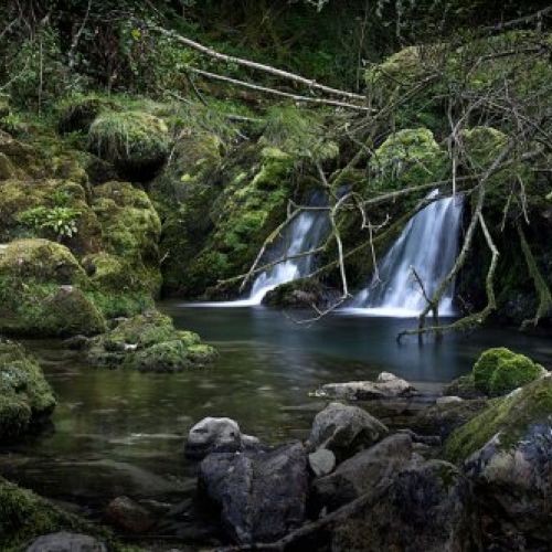 imagenes de Asturias 3